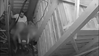 Miki i Nadezda seks u zadruzi